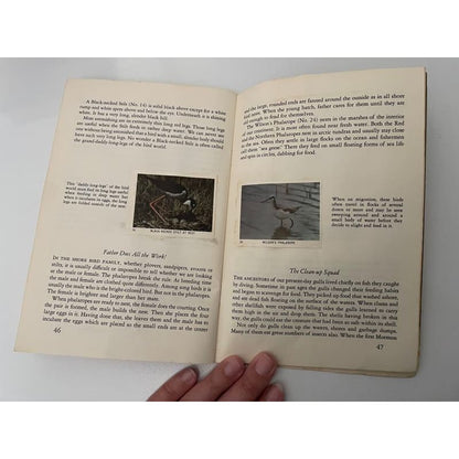 Vintage 1955 national audubon society nature program - water birds - print books book - condition: used - nature