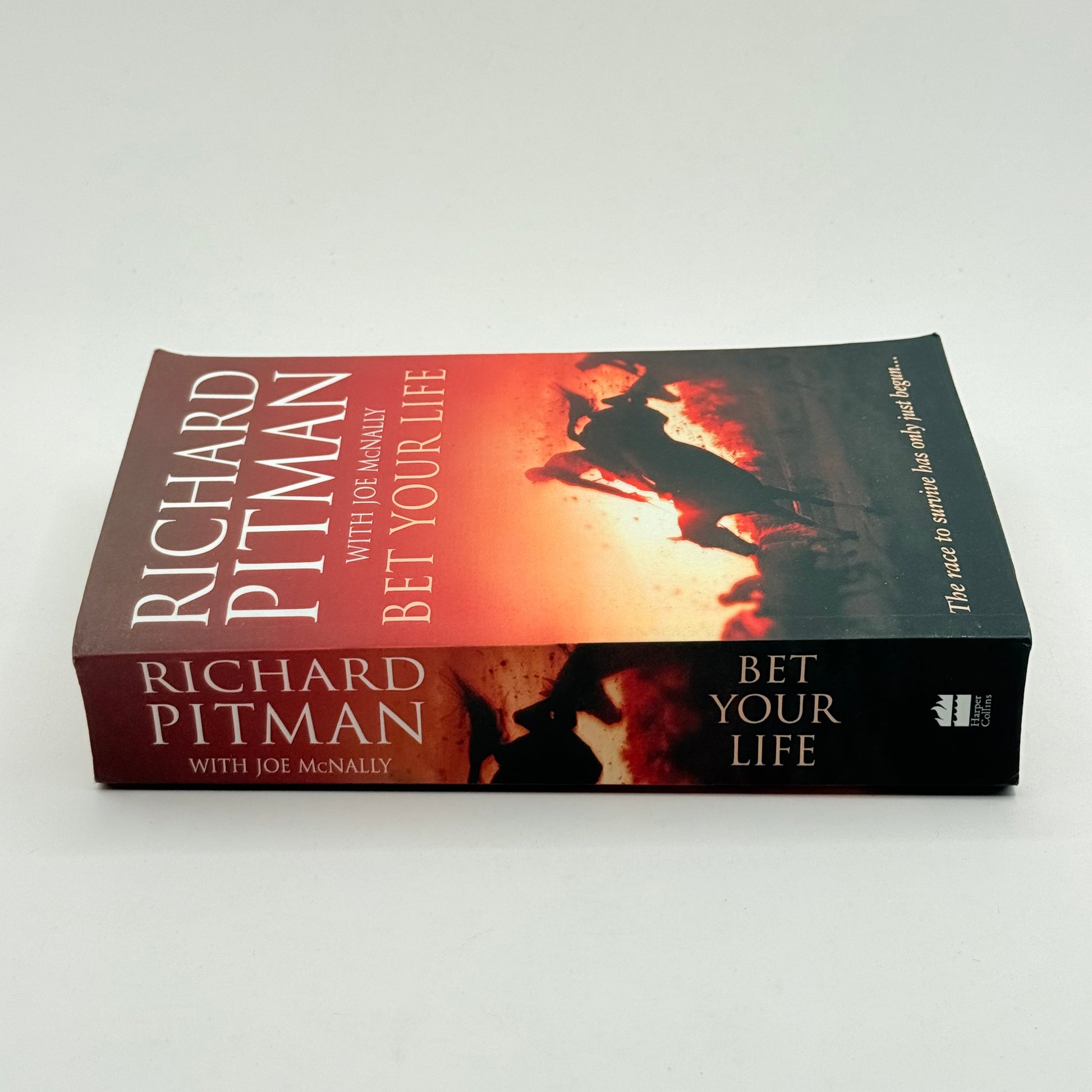 Bet your life by richard pitman with joe mcnally - print books what’s new printed media