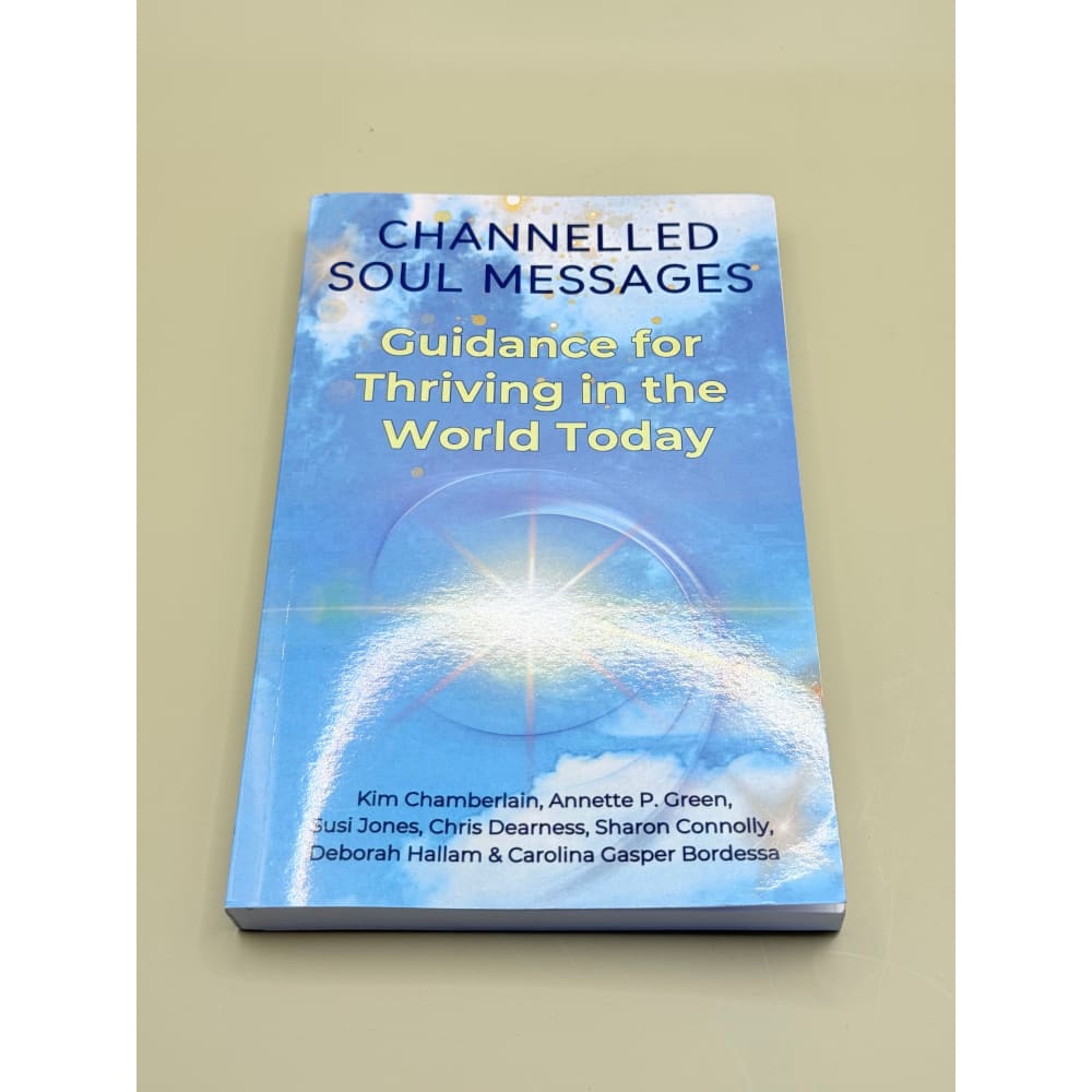 Channeled soul messages book – brand new with minor imperfections - guidance for thriving in the world today light blue