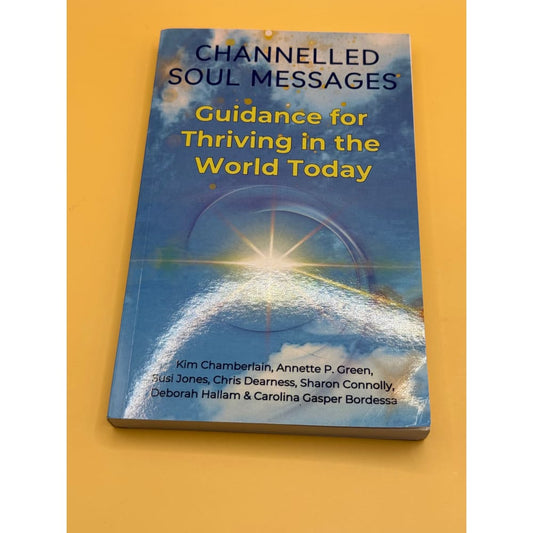 Channeled soul messages book – brand new with minor imperfections - guidance for thriving in the world today dark blue