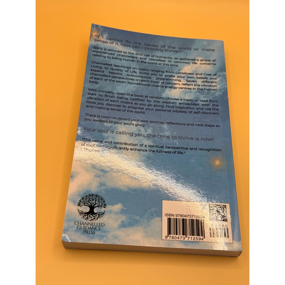 Channeled soul messages book – brand new with minor imperfections - print books printed media