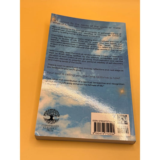 Channeled soul messages book – brand new with minor imperfections - print books printed media