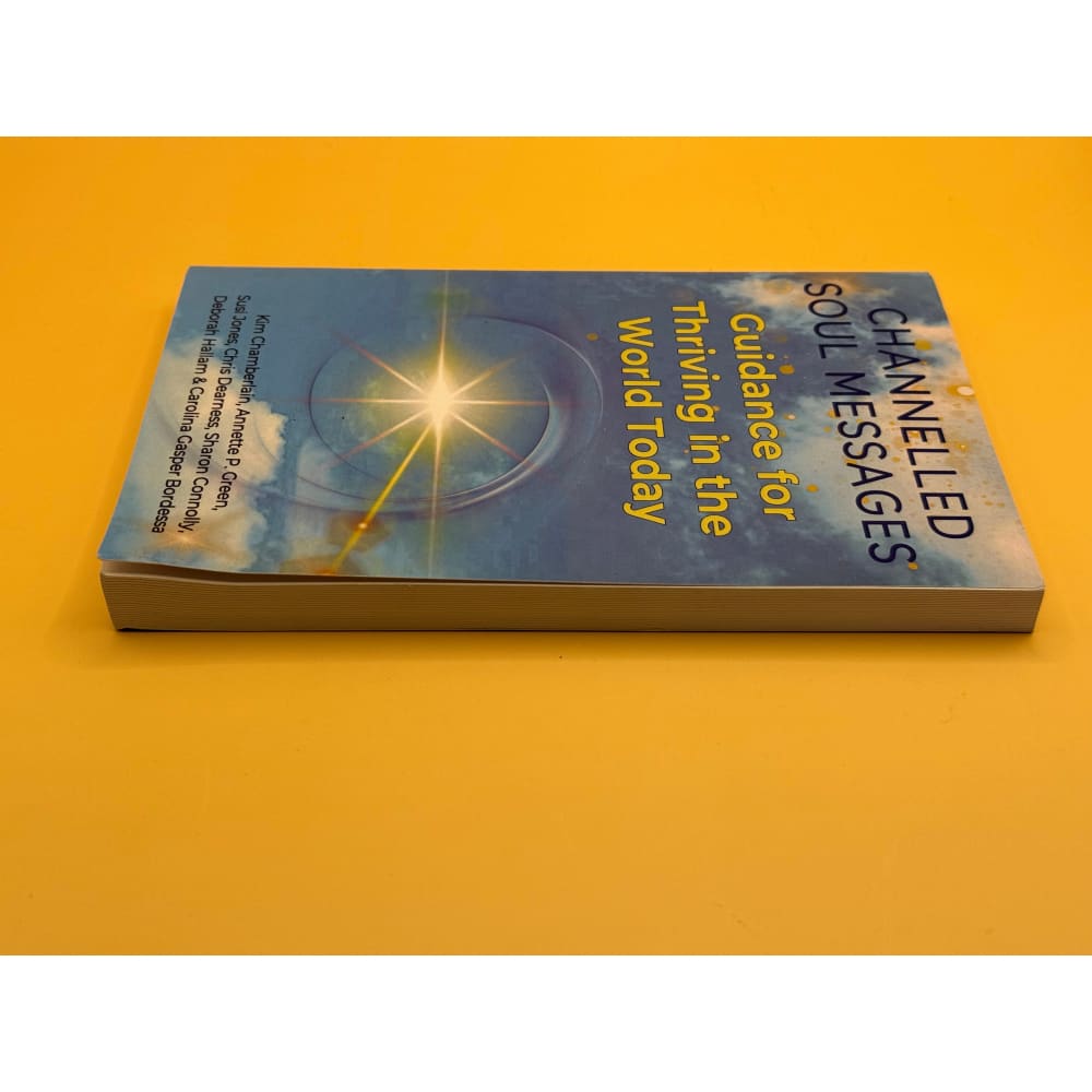 Channeled soul messages book – brand new with minor imperfections - print books printed media
