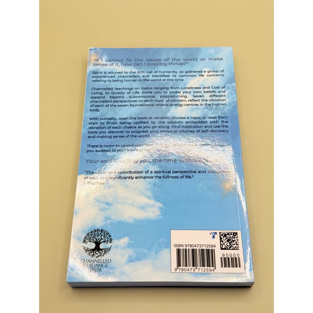 Channeled soul messages book – brand new with minor imperfections - print books printed media