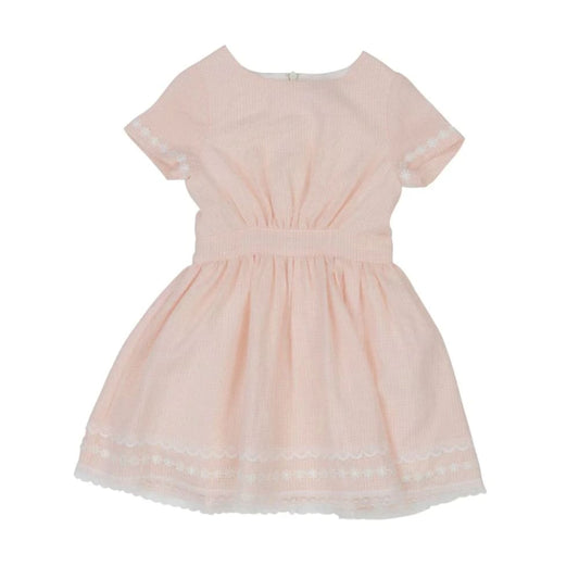 Arthur ave size 2 gingham & lace dress - pink - dresses baby clothing