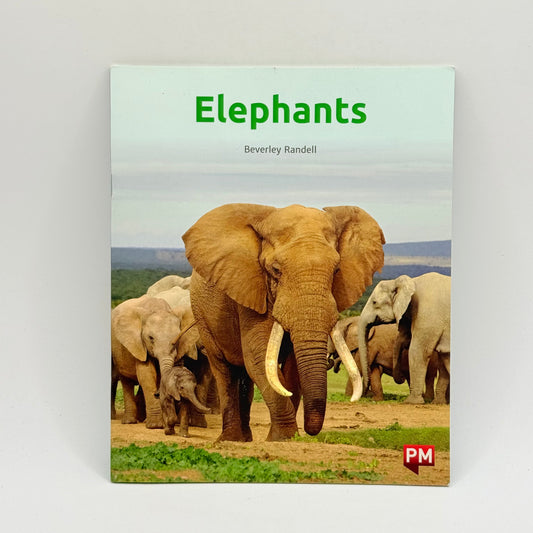 Elephants by beverley randell - print books what’s new printed media