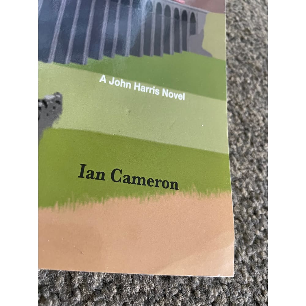 Expect nothing back by ian cameron - books printed media