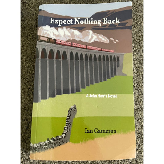 Expect nothing back by ian cameron - books printed media