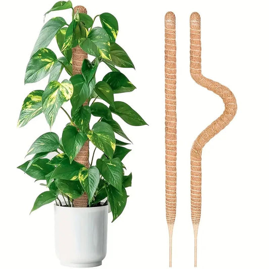 30cm plant pole - plant supports home&living materials