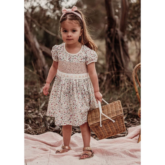Arthur avenue size 2 rose smock sleeve dress - baby & toddler dresses baby clothing