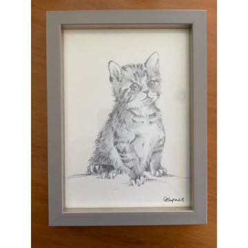 “paws for thought” - a5 framed print by gracie tapner - spoons home & living home&living materials