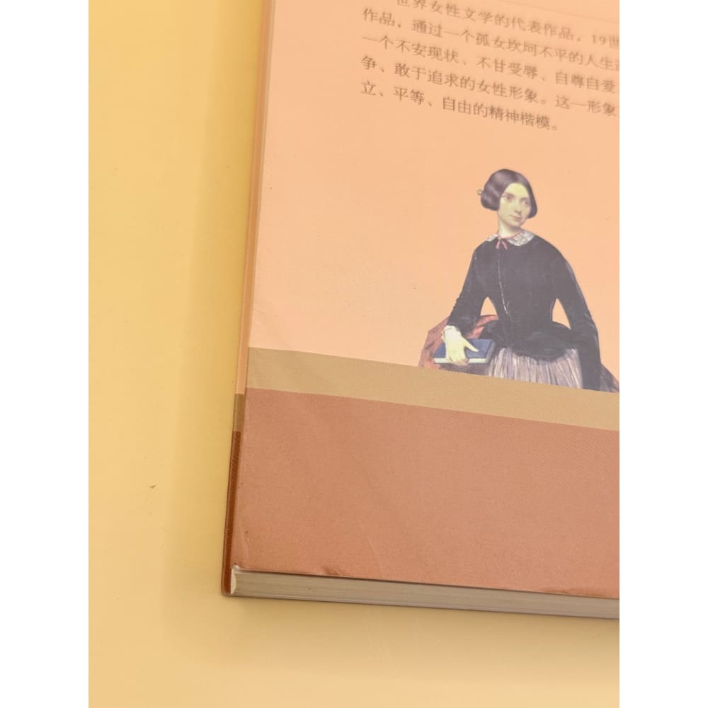 Jane eyre by charlotte brontë (chinese) - print books printed media