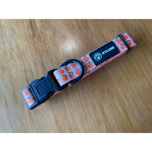 Kylomi orchard orange dog collar size small - pet collars & harnesses pet apparel & accessories pet apparel &