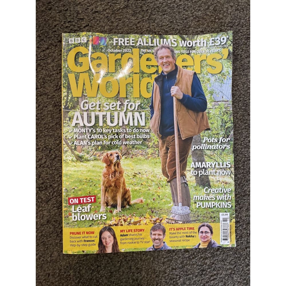 Brand New Magazines – The Value Junction