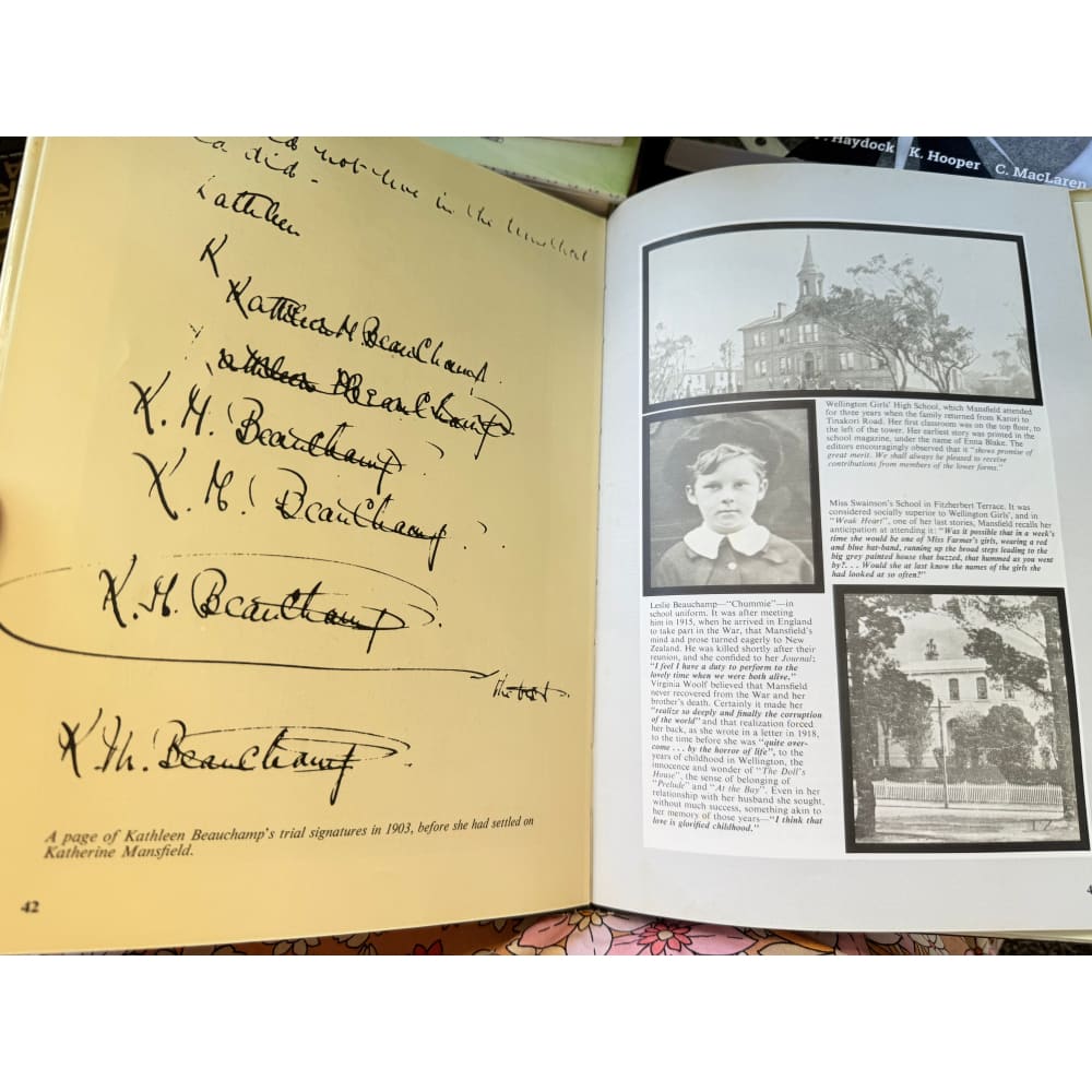 Katherine mansfield’s new zealand by vincent o’sullivan - print books condition: used printed media
