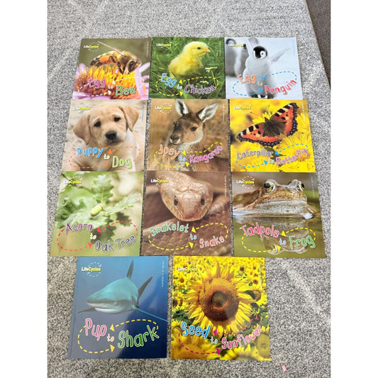 Lifecycles children’s book set (11 books) - print books printed media