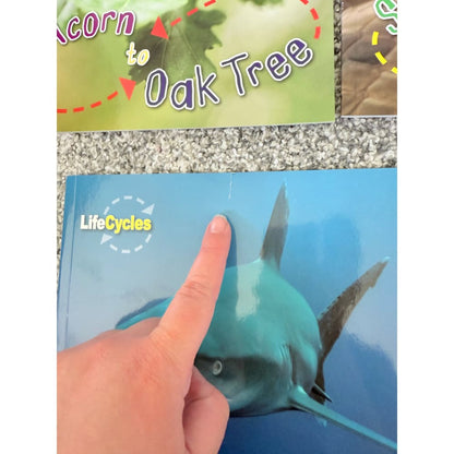 Lifecycles children’s book set (11 books) - print books printed media