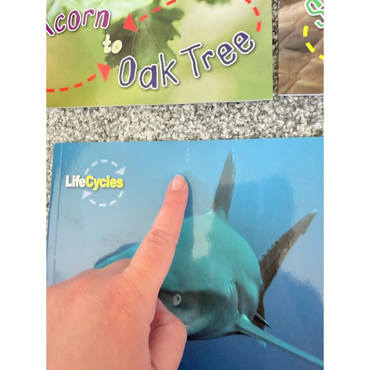 Lifecycles children’s book set (11 books) - print books printed media