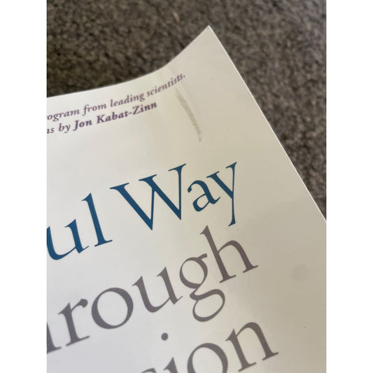 The mindful way through depression by mark williams john teasdale zindel segal and jon kabat-zinn - books printed media