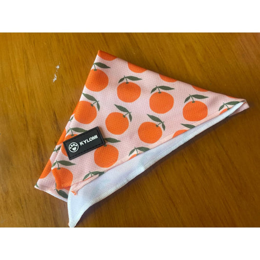 Kylomi orchard orange orange fruit dog bandana - pet apparel pet apparel & accessories