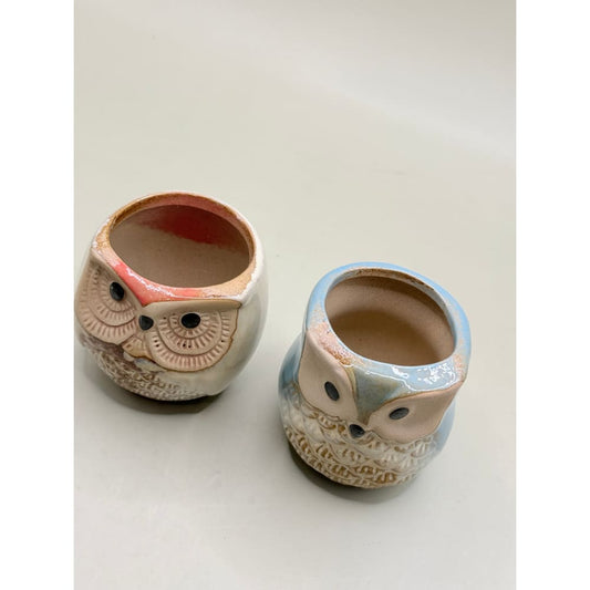 Set of 2 small whimsical owl succulent planter set - planters home&living materials