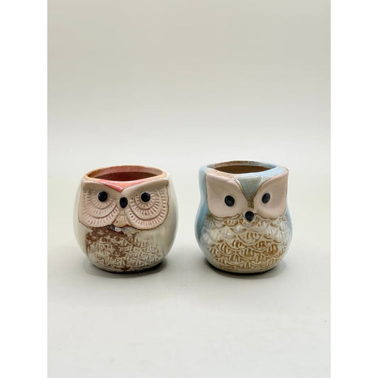 Set of 2 small whimsical owl succulent planter set - planters home&living materials