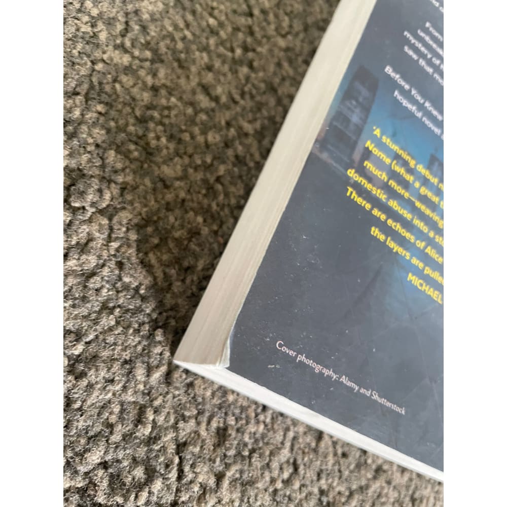 Before you knew my name by jacqueline bublitz - print books printed media