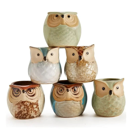 6 pc set ceramic owl pots - pots home&living materials