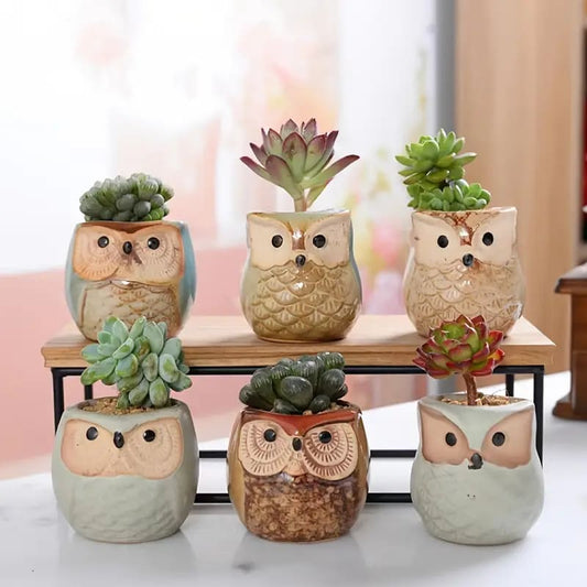 6 pc set ceramic owl pots - pots home&living materials