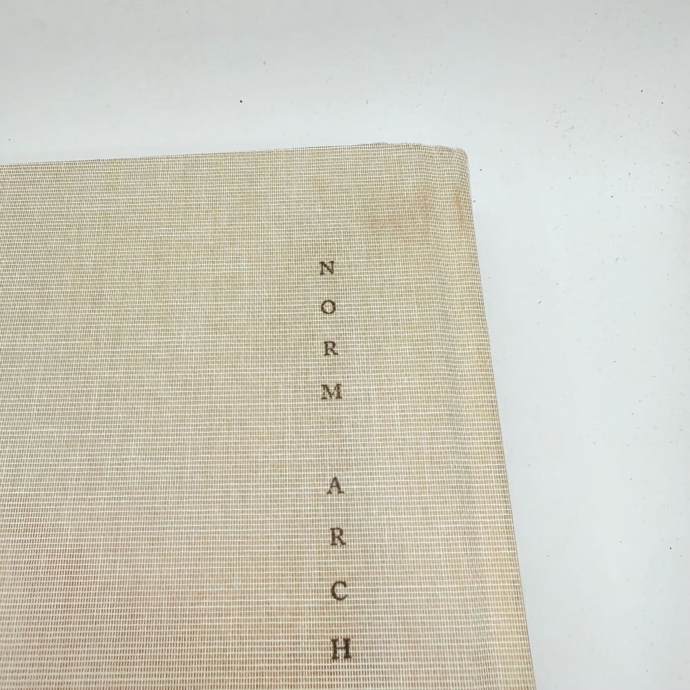 Soft minimal: norm architects: a sensory approach to architecture and design - print books what’s new printed media