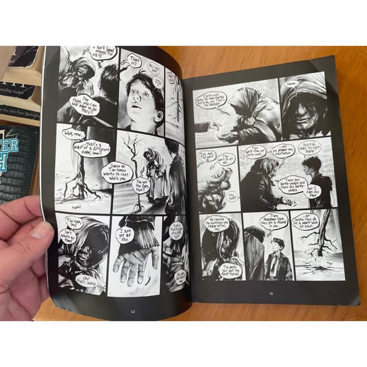 The lost boy - greg ruth (graphic comic for 8-12y) - print books book - children’s - condition: used - literature