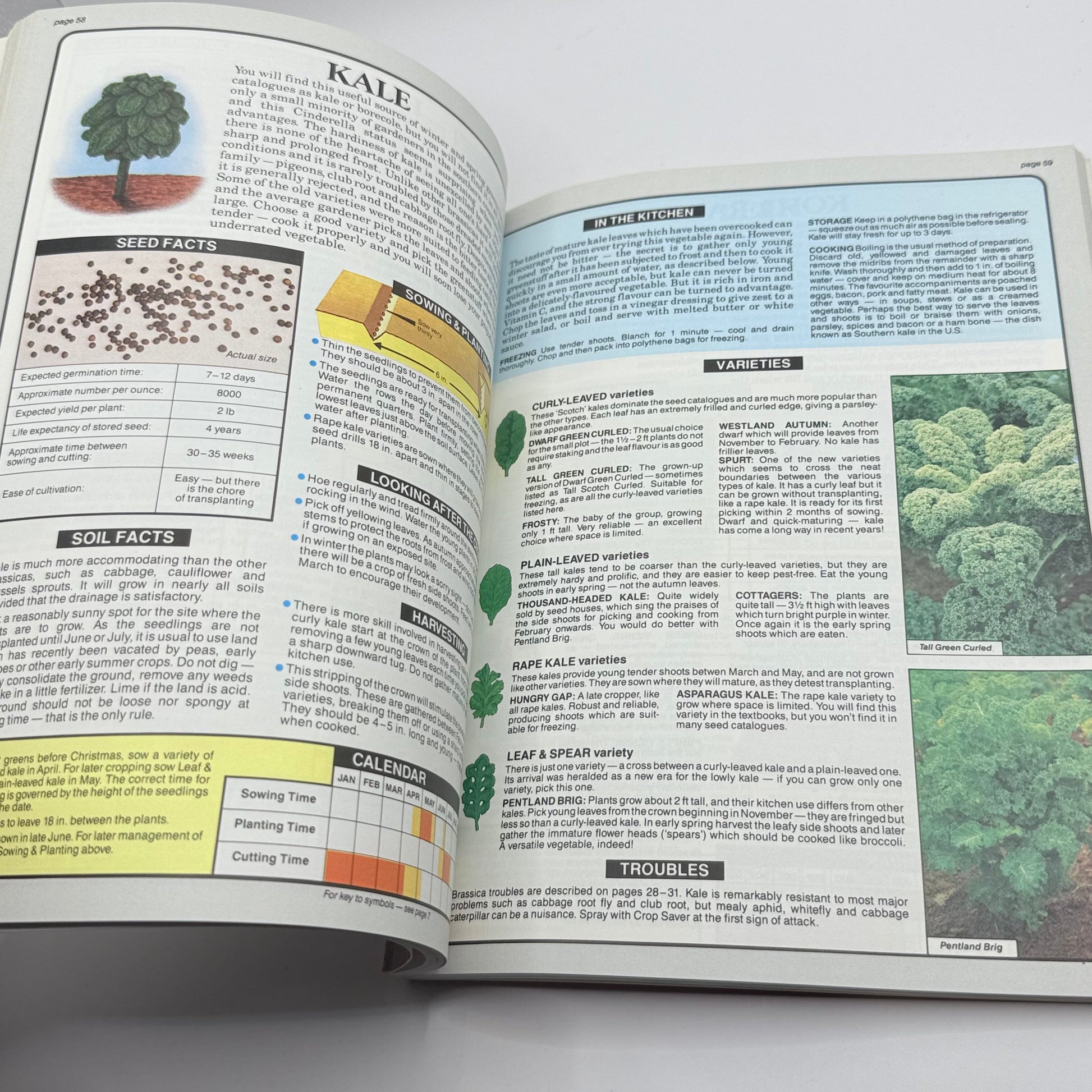 The vegetable expert by dr. D.g. Hessayon - print books condition: used printed media