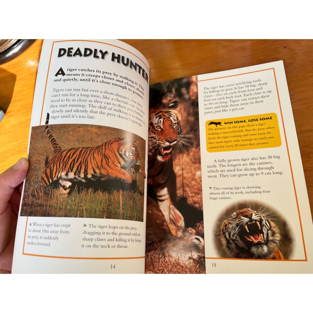 Tiger killer creatures by anna claybourne - books printed media