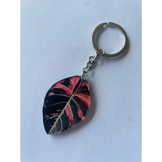 Variegated alocasia leaf keychain - keychains home&living materials