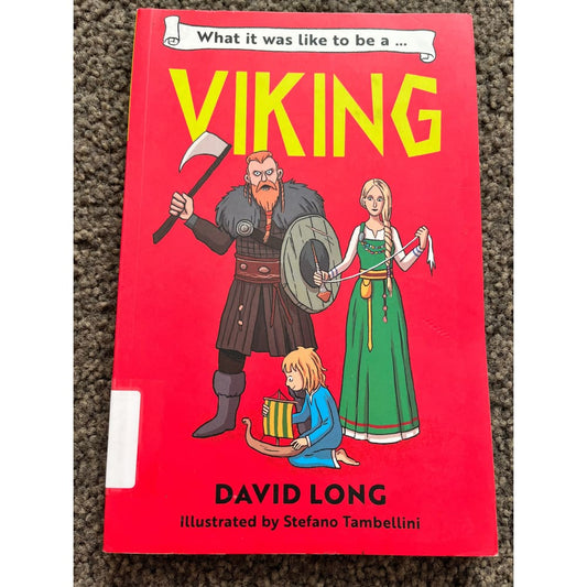 What it was like to be a viking by david long illustrated by stefano tambellini - books printed media